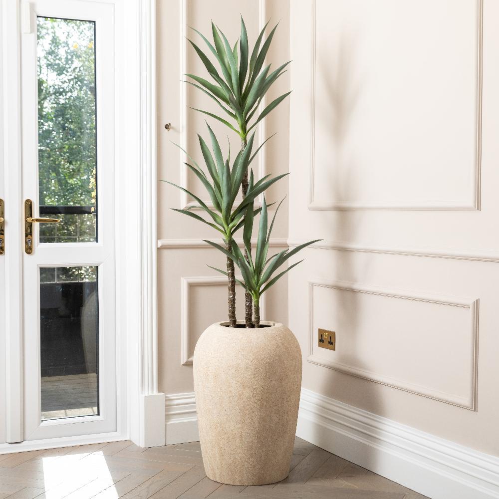 Yucca Trees – SixtySixDesigns