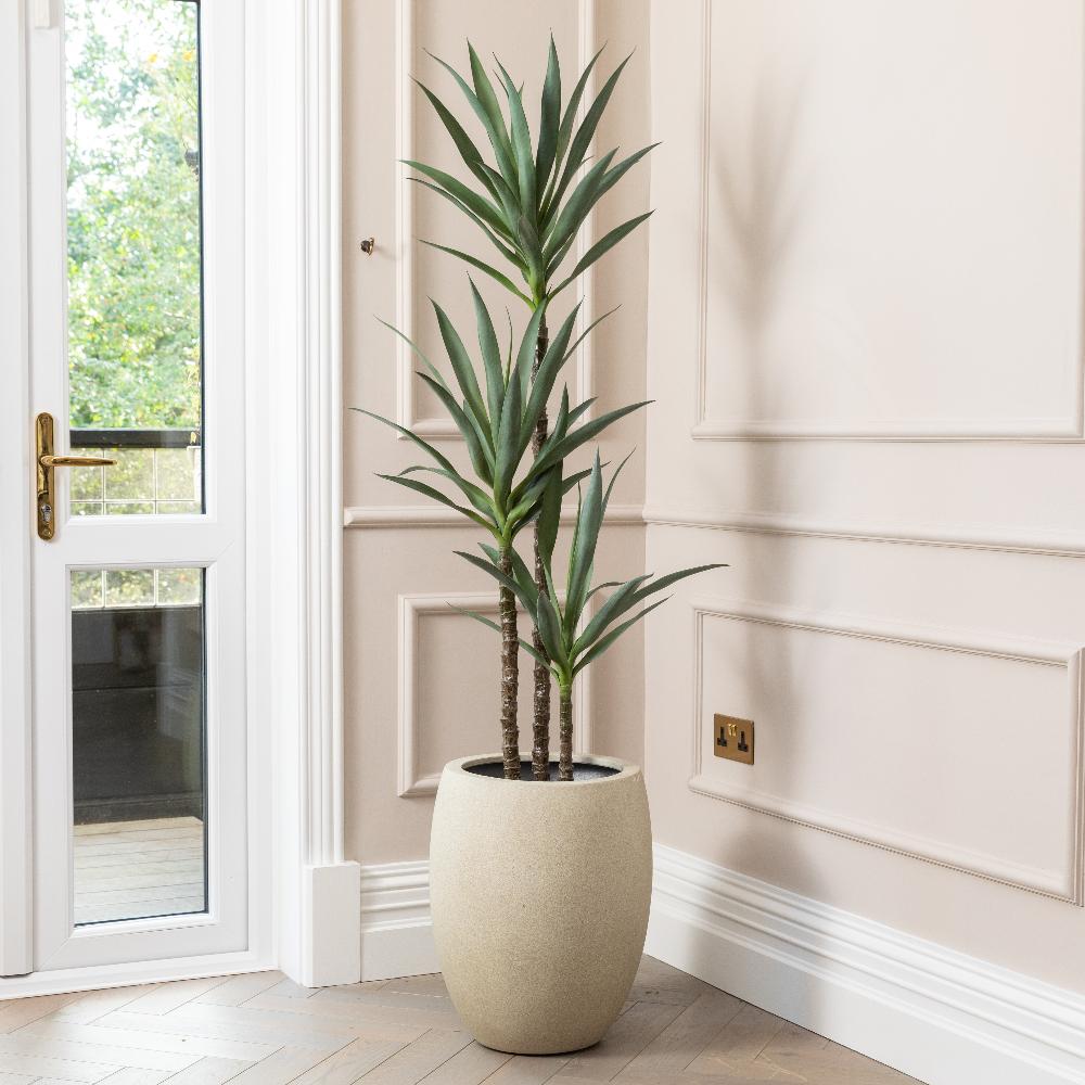 Yucca Trees – SixtySixDesigns