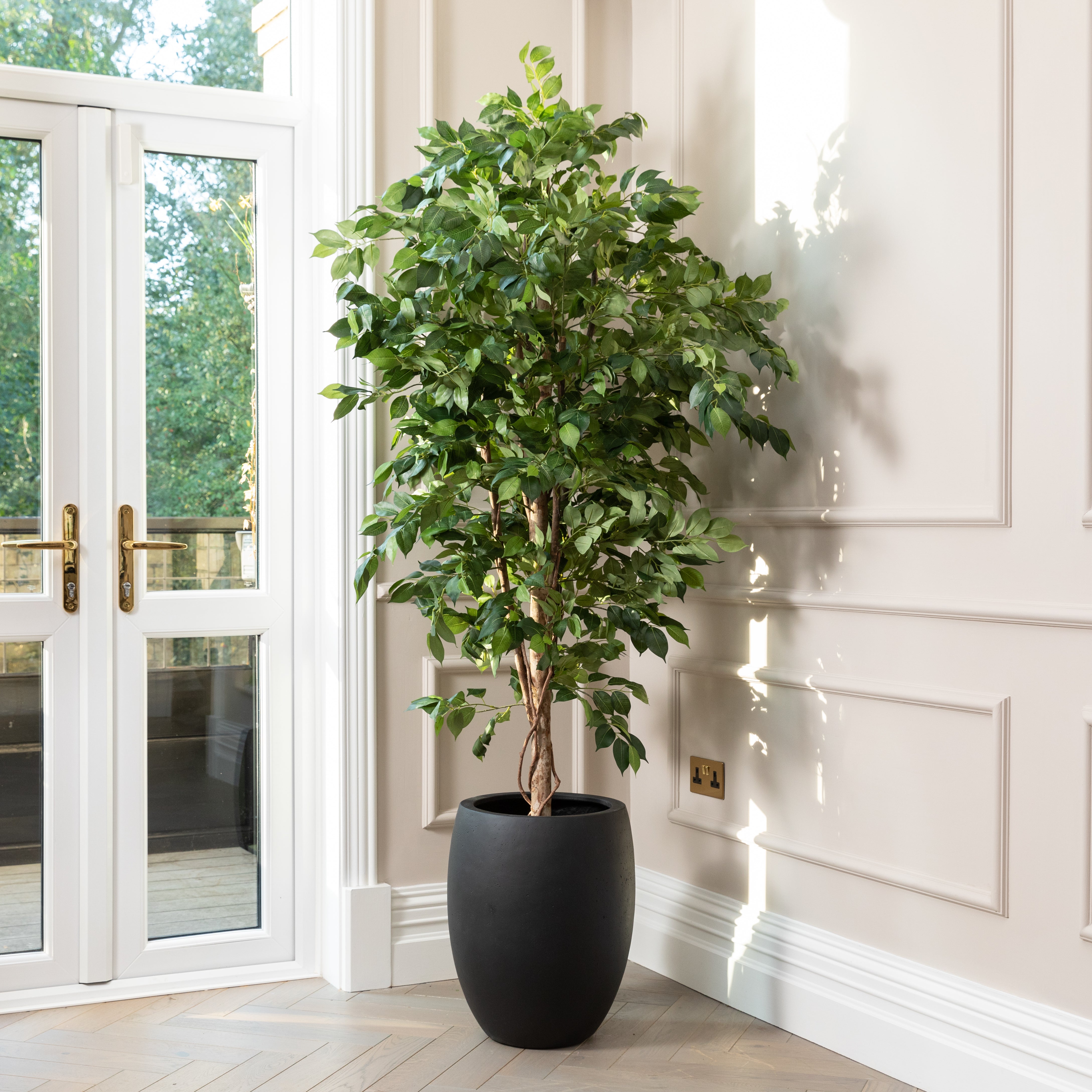 Artificial Ficus Tree UV/IFV in Black Planter – SixtySixDesigns