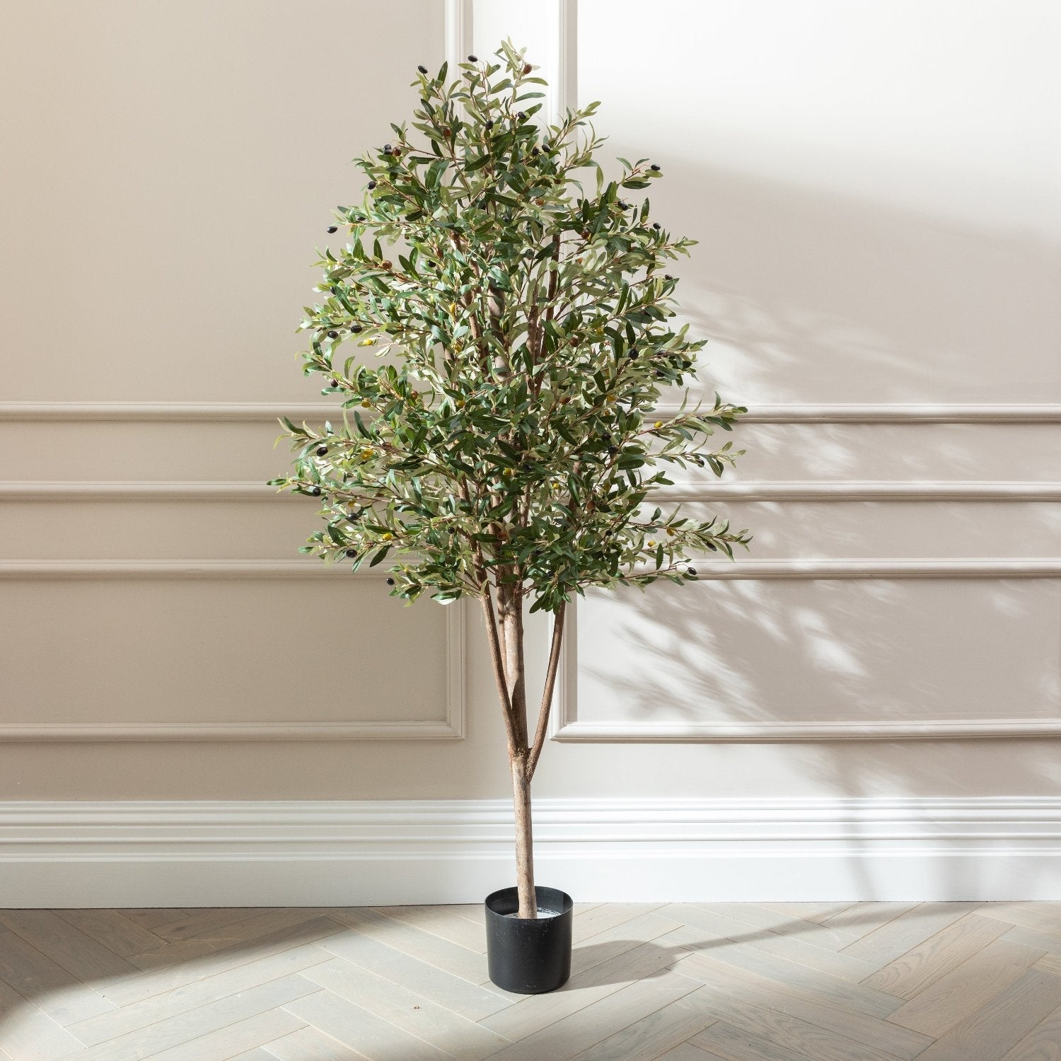 Olive Trees – SixtySixDesigns