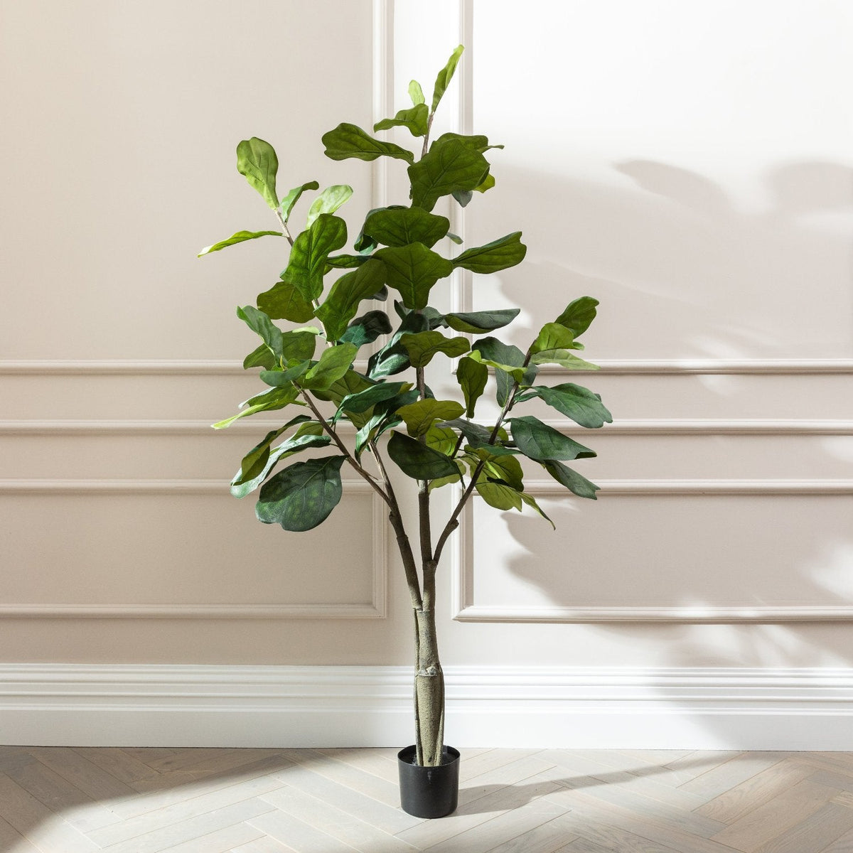 Fiddler Trees Fiddle Trees – SixtySixDesigns