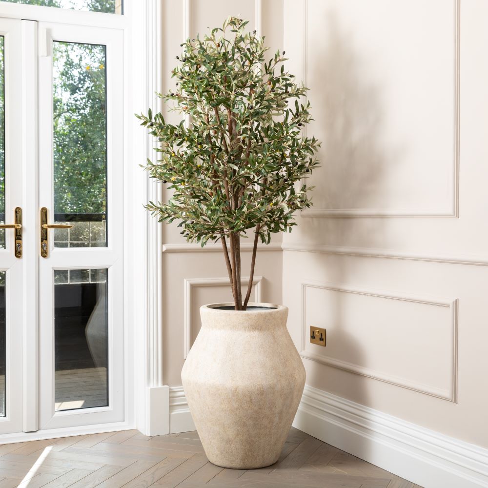 Olive Trees – SixtySixDesigns